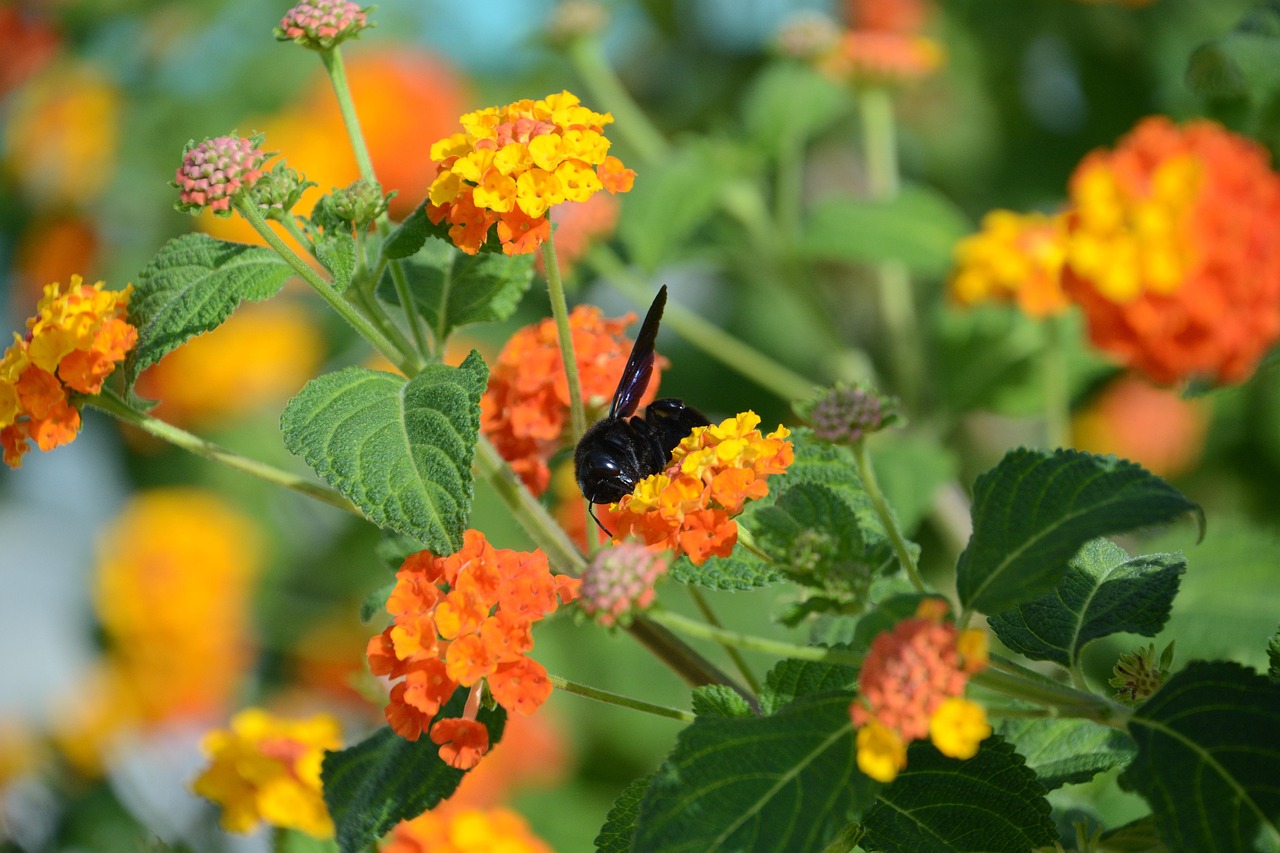 四月樓市概覽，最新毛樓動態速遞