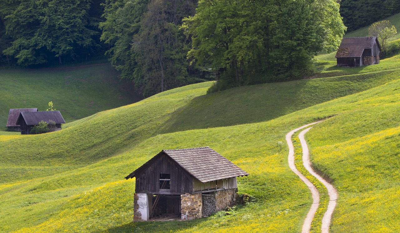 聚焦四月天歌臺風動態,最新動向報告