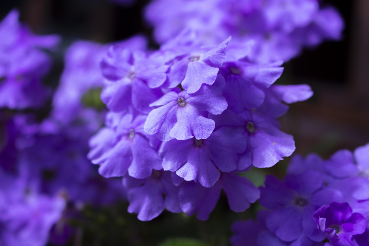 揭秘四月份鋼材市場風云,實時價格動態與未來展望