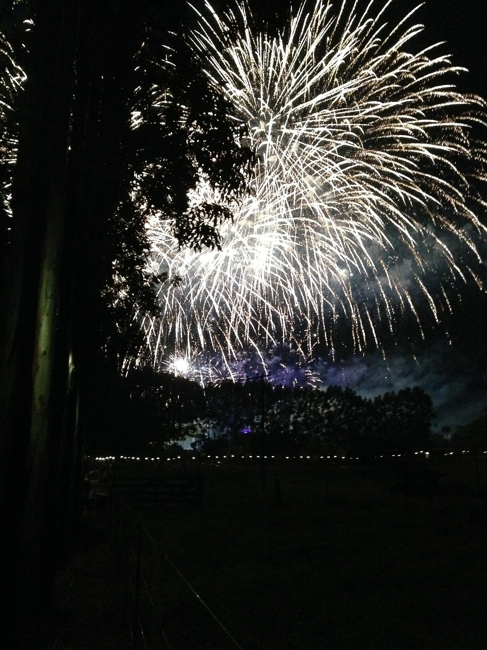 明日之子4月最新一期音樂推薦,探索音樂的無限魅力