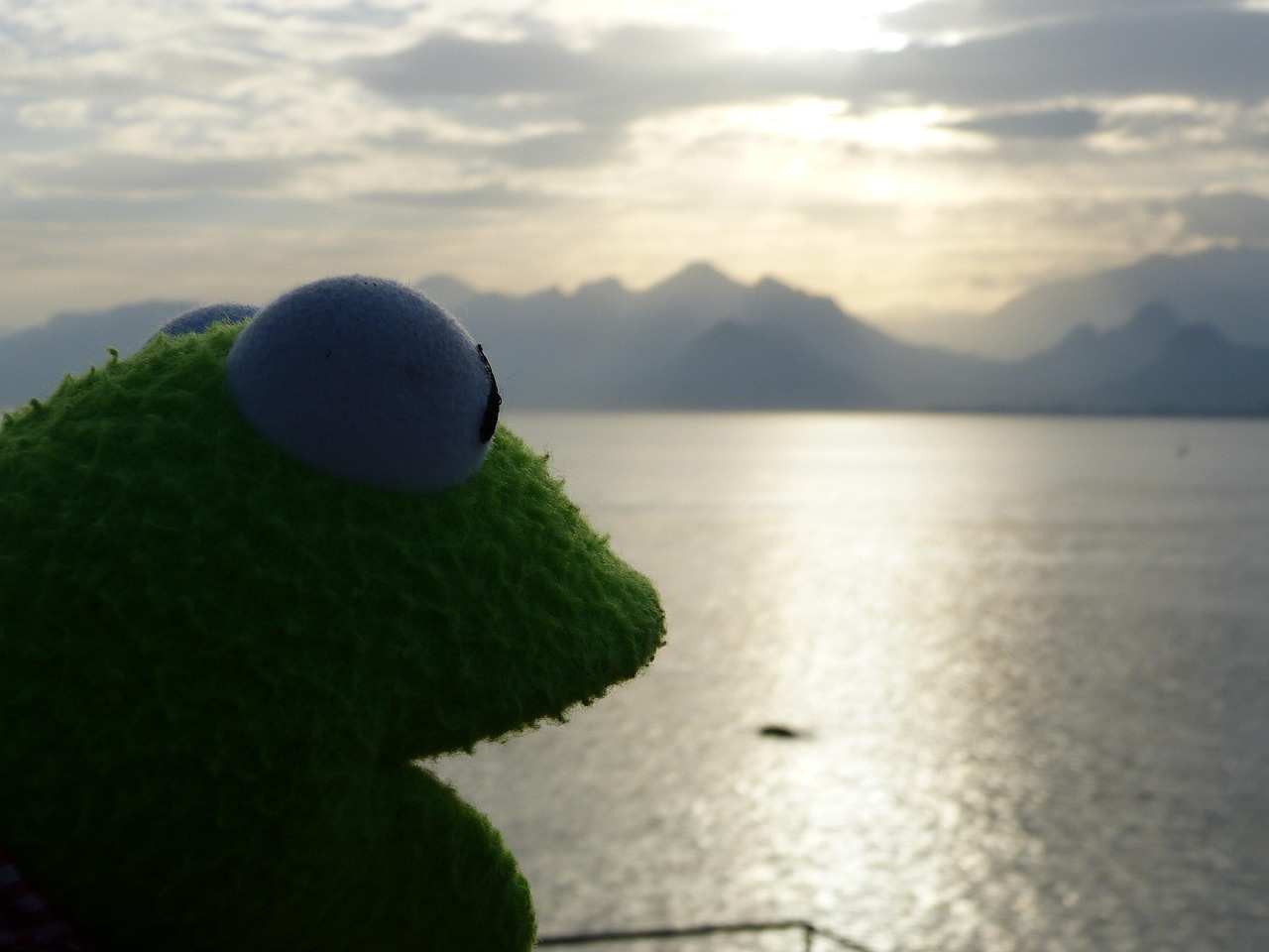 揭秘四月旅行青蛙最新資訊,探索旅行新動態與獨特體驗