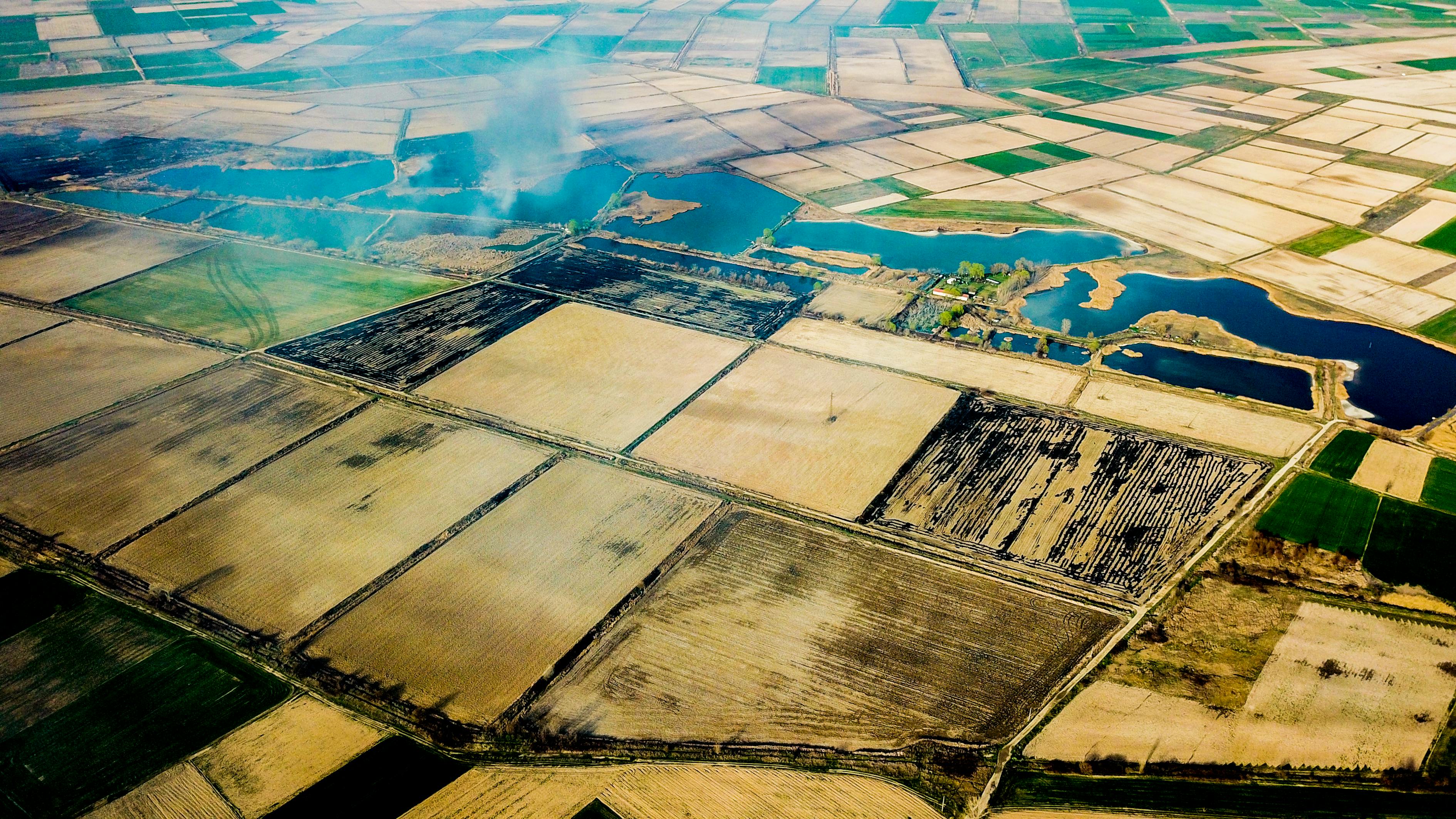 4月閬中新資訊概覽