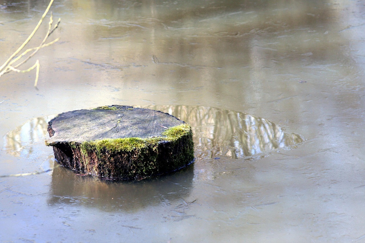 五月云南攝影比賽,捕捉自然之美的瞬間藝術