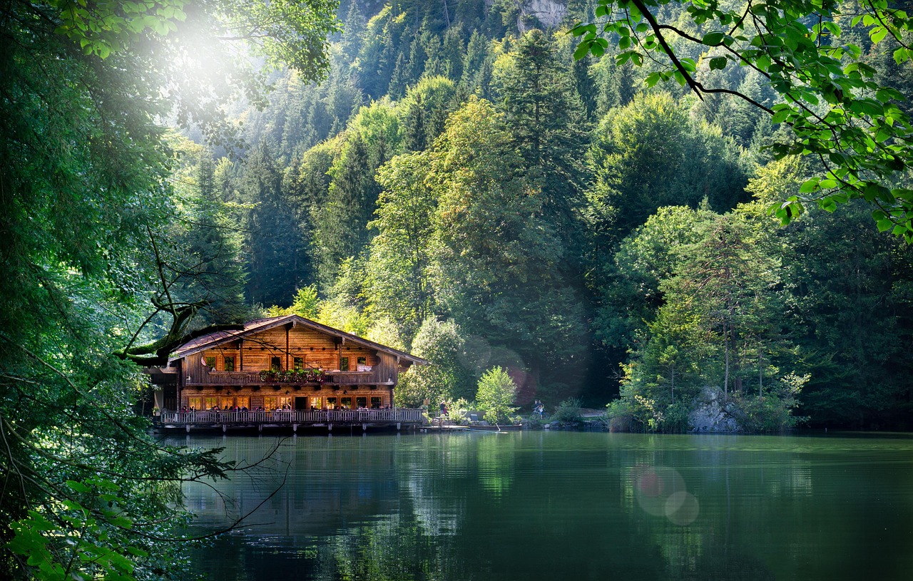 五月蓬萊房價動態解析與資訊速遞