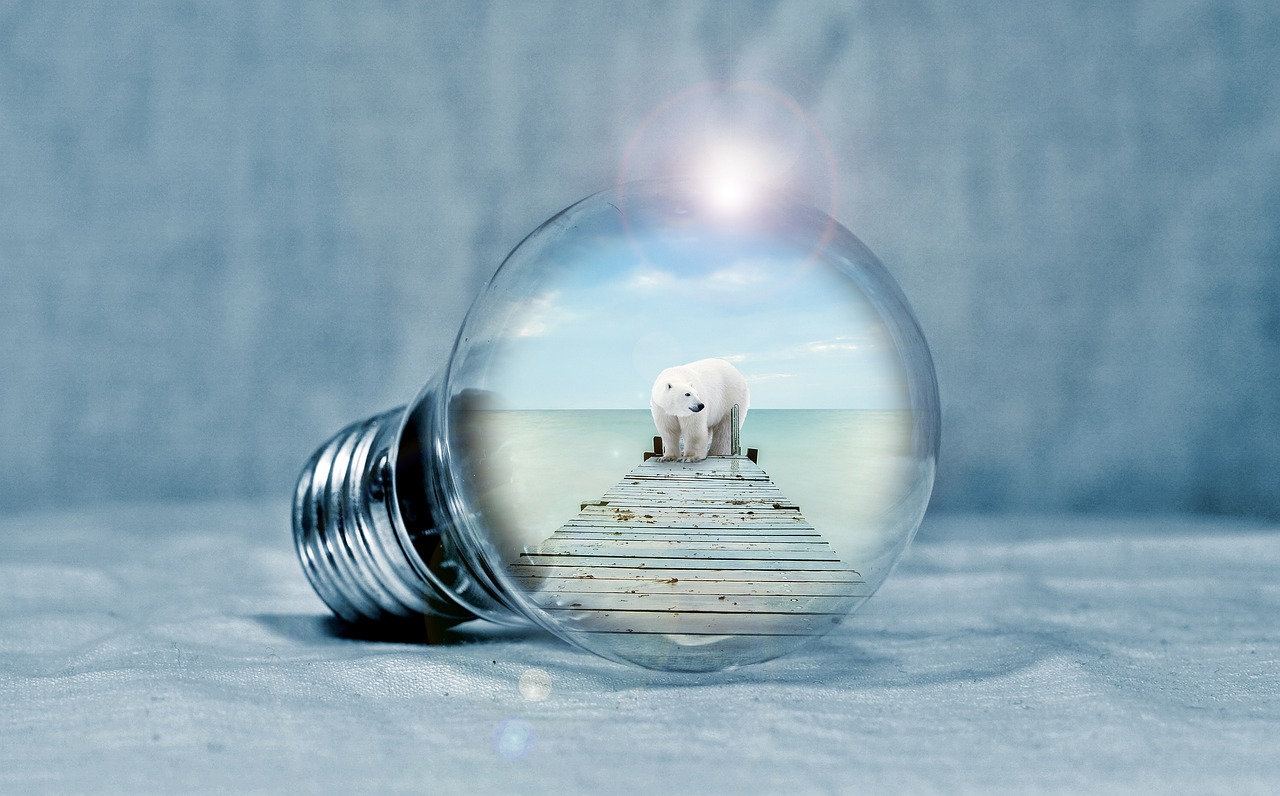 五月海洋之謎面霜價格揭秘，探索海洋奧秘的護膚之選