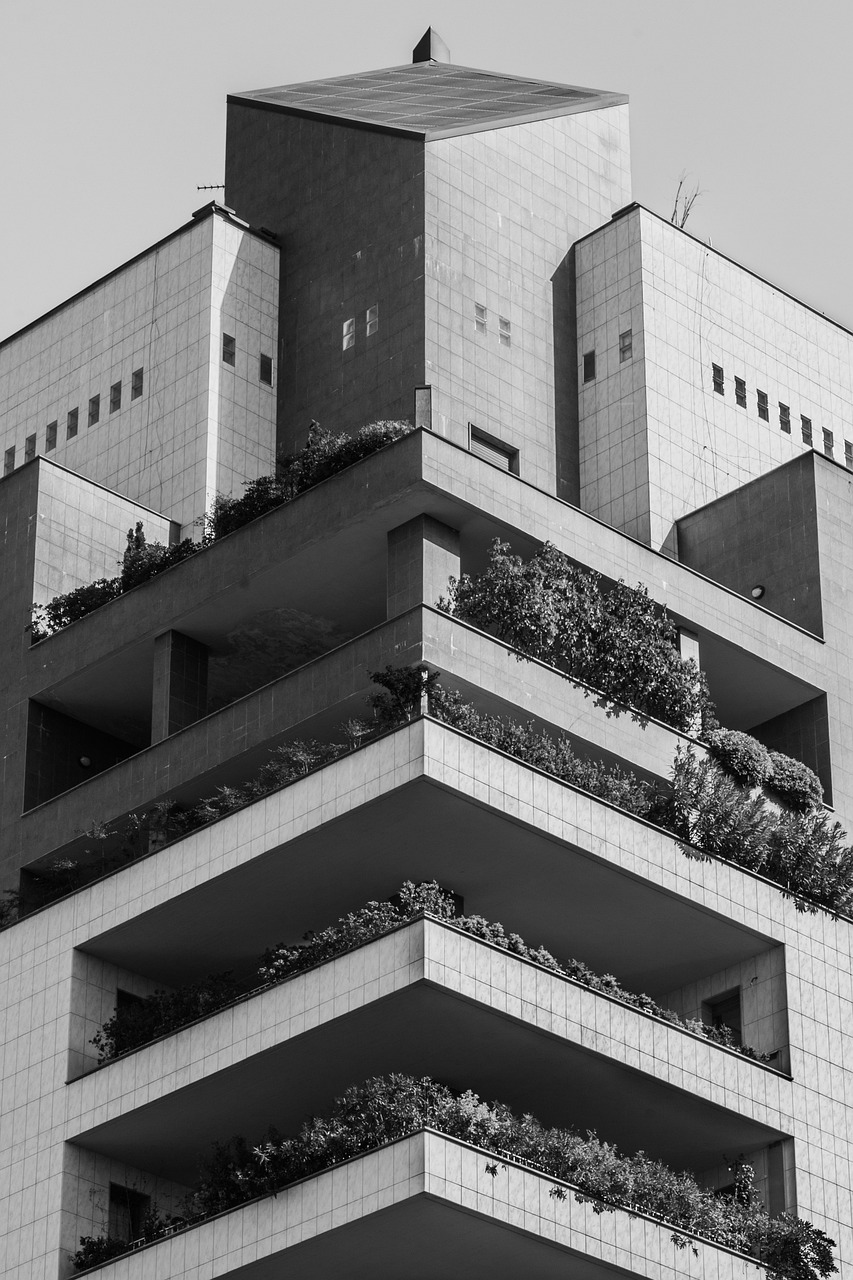 五月共青城大學城最新動態概覽