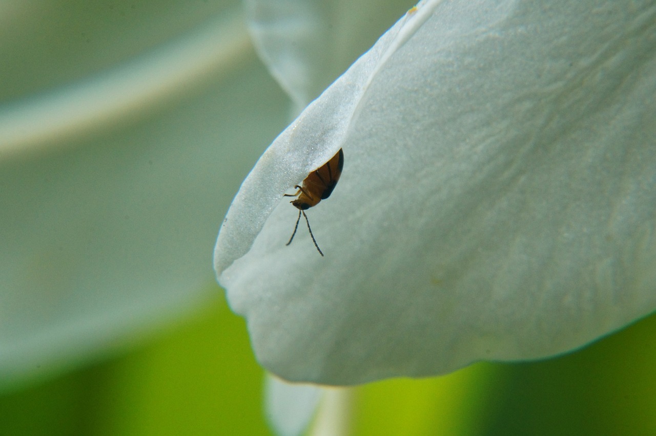五月赤峰五甲萬京的最新動態報告