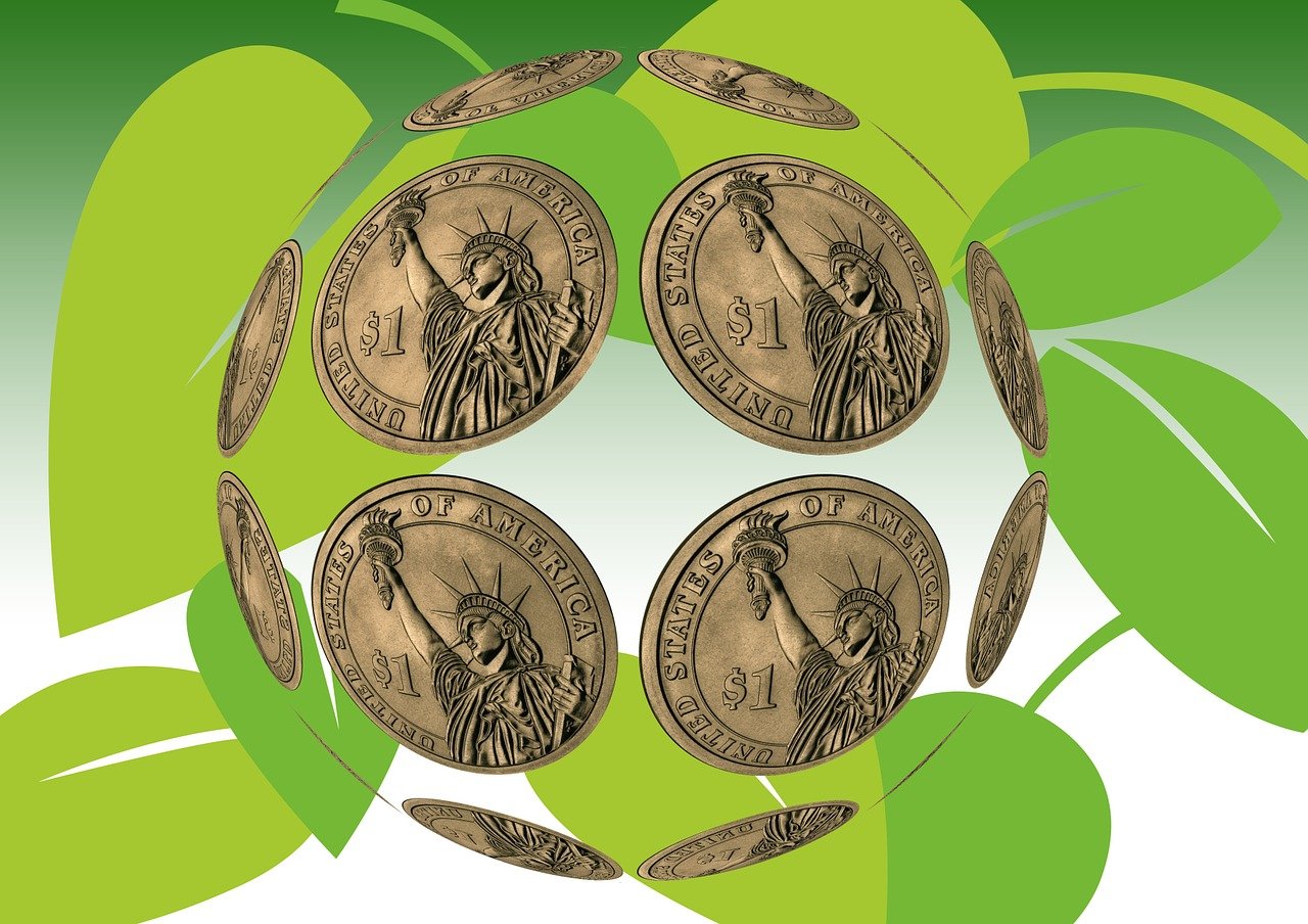 五月森林最新資訊,生態、科技與保護同步發展