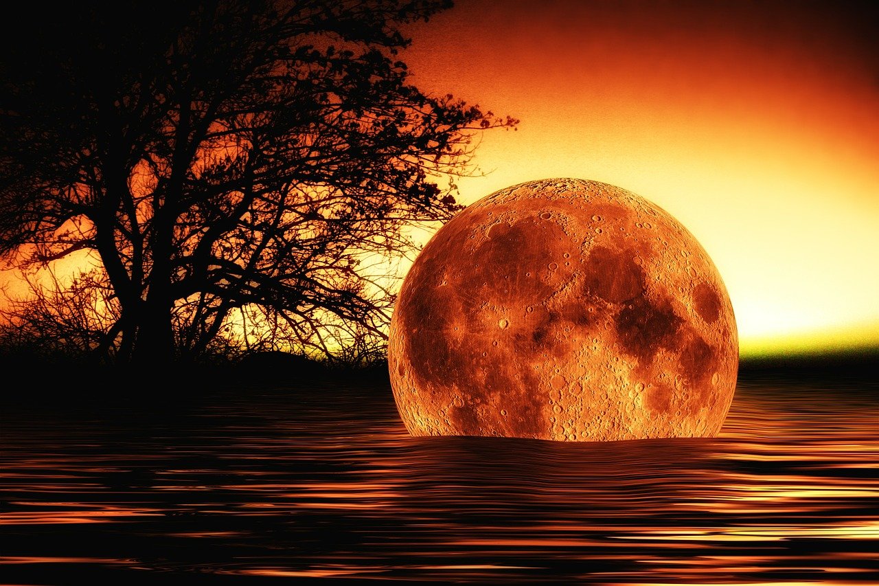 五月小倩探秘動(dòng)漫世界