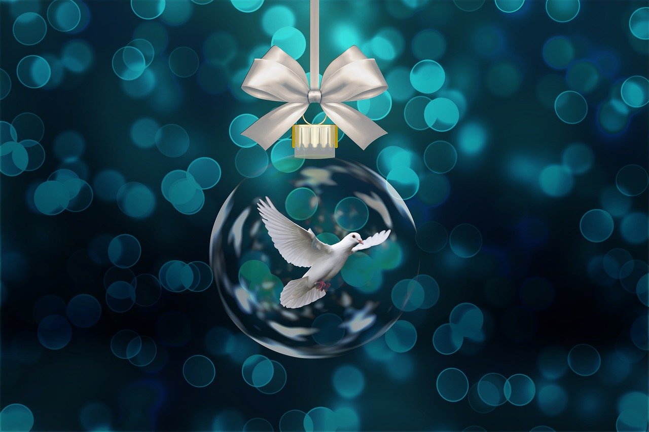 五月偶像明星，璀璨星光照亮青春舞臺的璀璨之旅