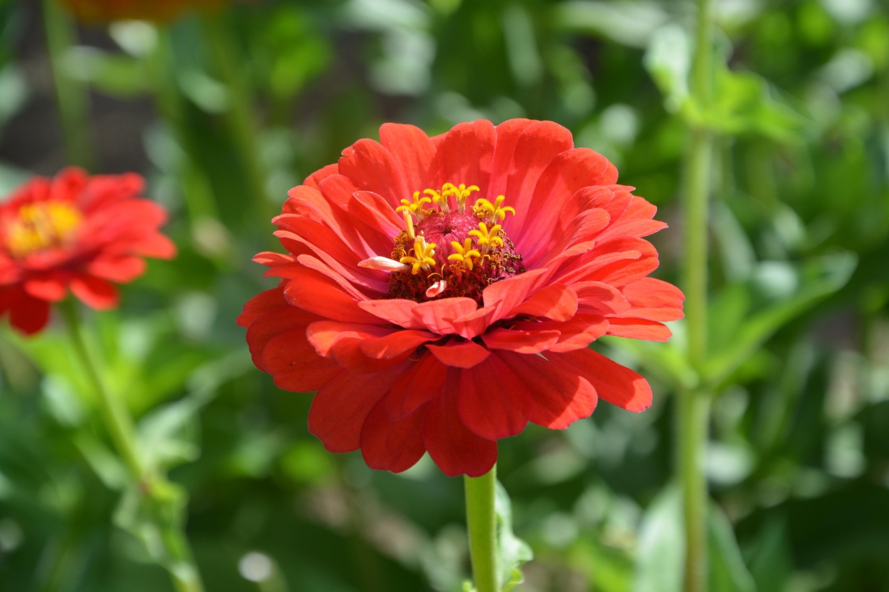 五月土地市場趨勢揭秘,最新土地統計報告深度解讀新動態與趨勢分析