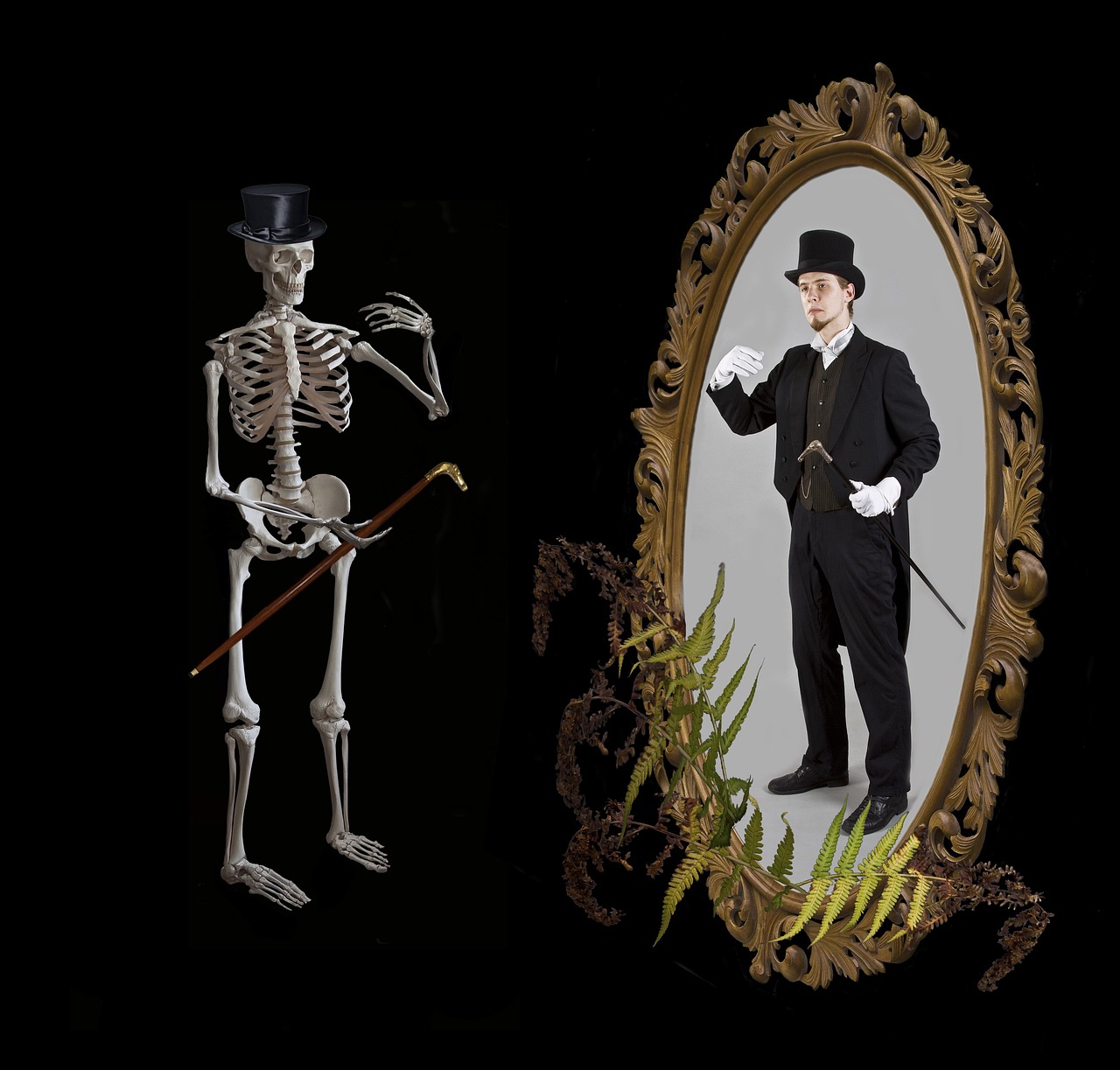 五月人面魚電影,探尋神秘背后的故事揭秘之旅