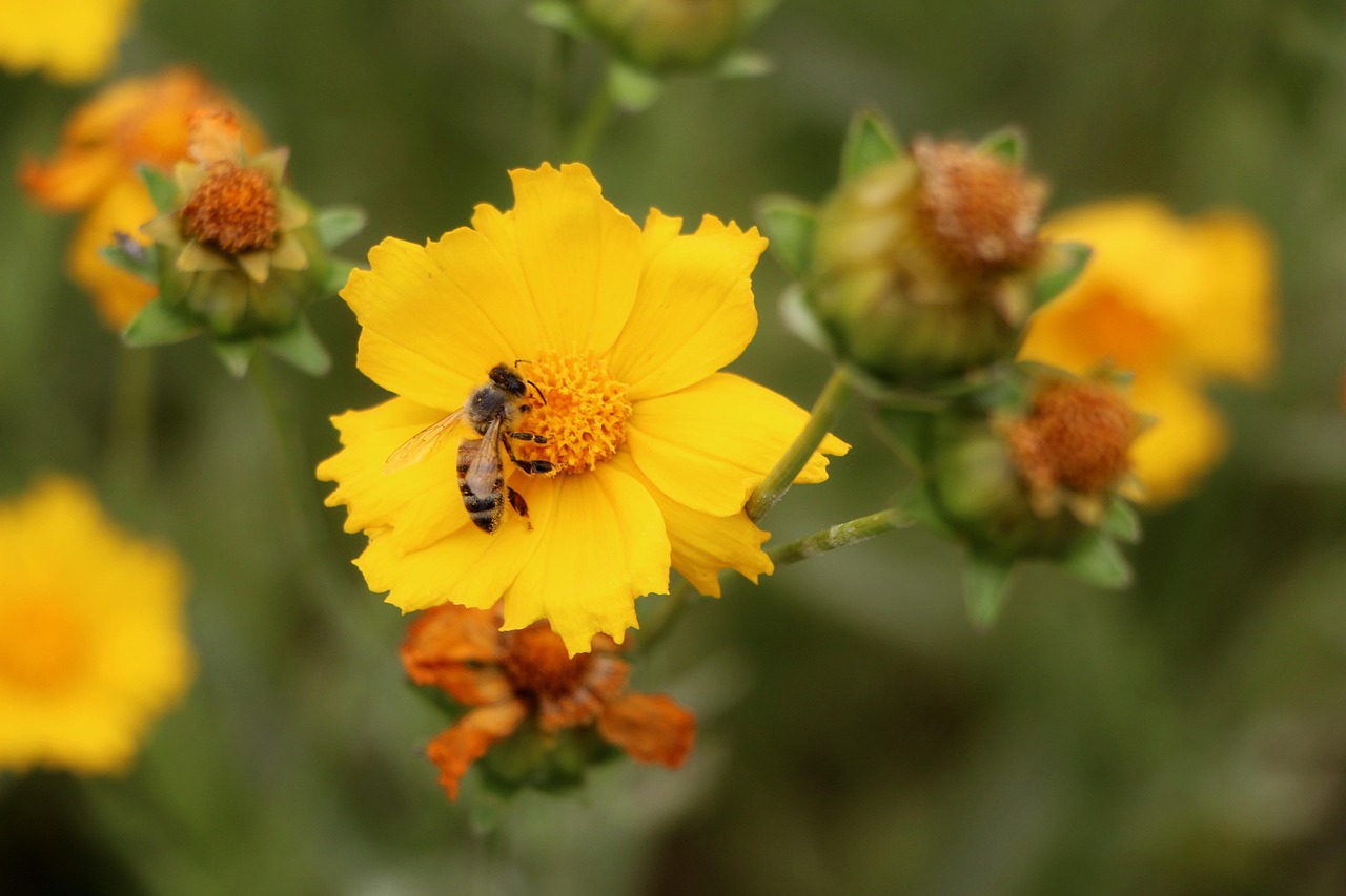 五月小郭跑腿最新一期內容深度解析,揭示最新動態