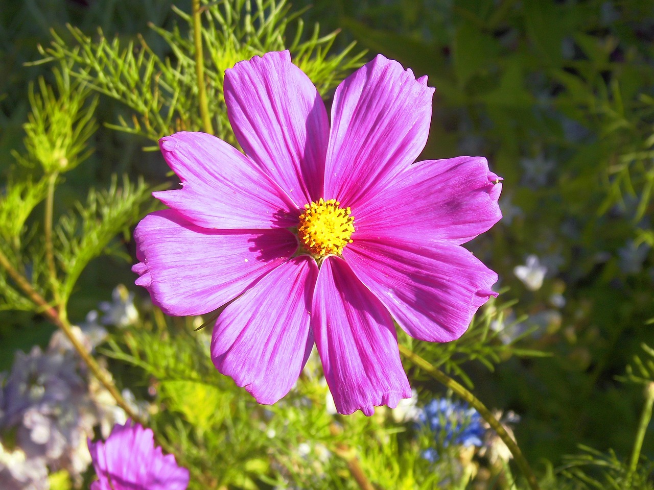 普邦園林五月成功上市,綻放的園林之路