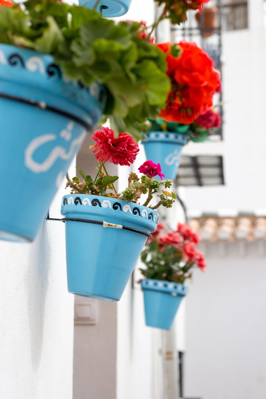 五月灃涇大道最新動態揭秘,城市發展的脈搏持續跳動