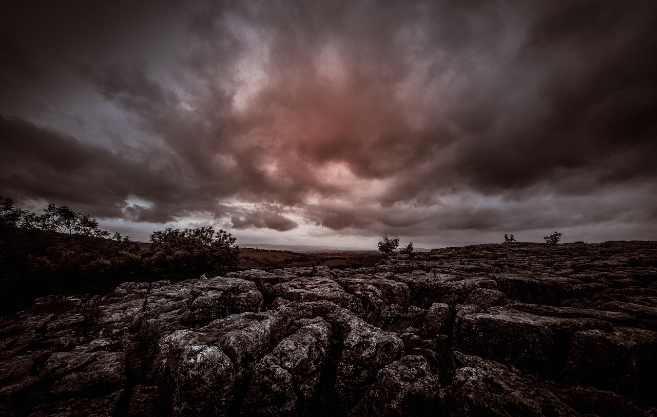 五月原始武器電影之旅,歷史與藝術的交融探尋