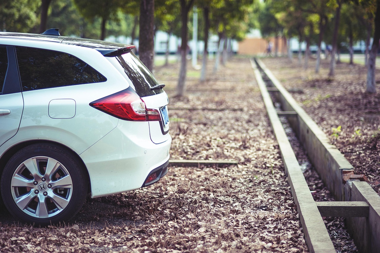 五月東風(fēng)汽車股價(jià)動(dòng)態(tài),市場(chǎng)走勢(shì)分析與展望