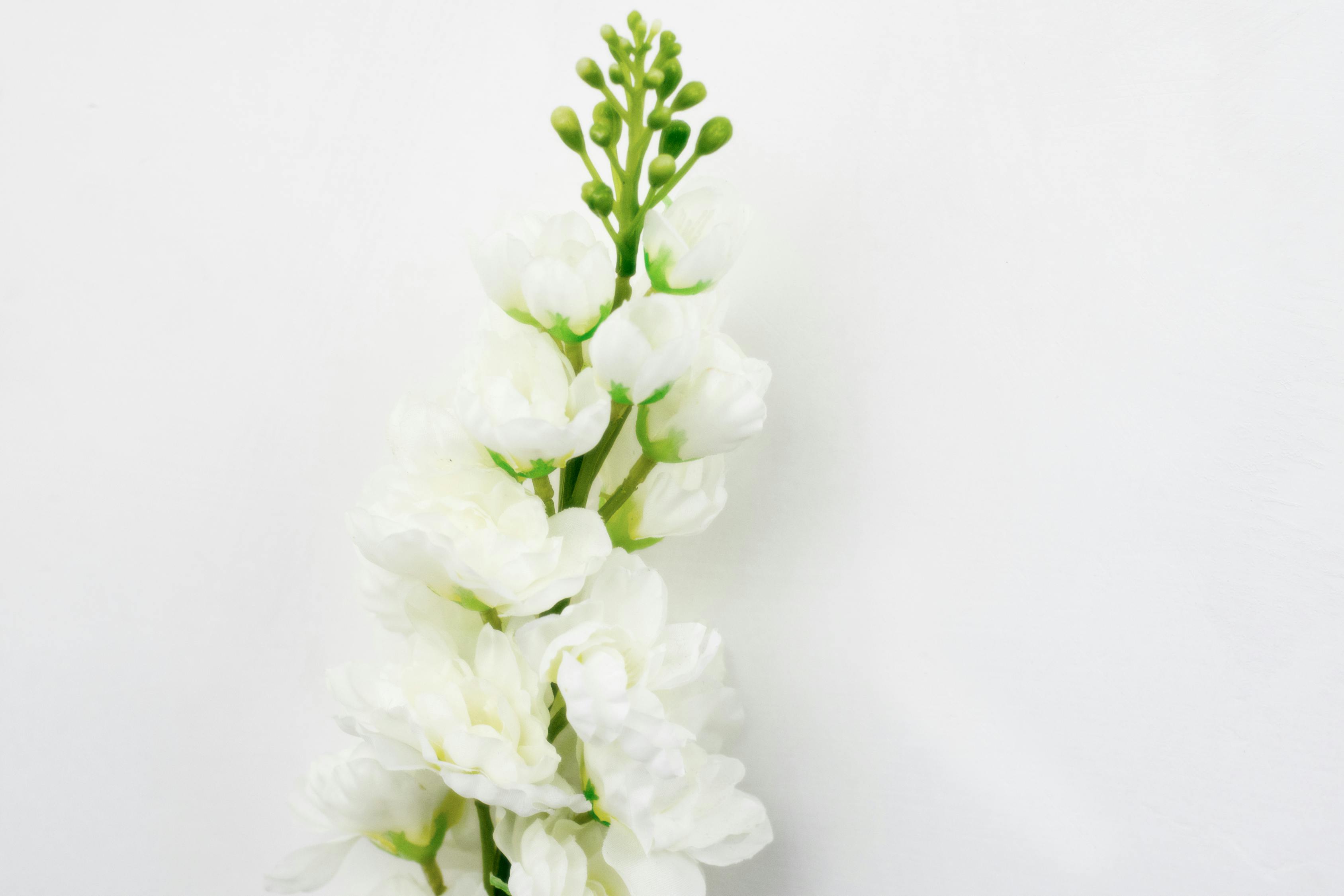 五月東風汽車股價動態,市場走勢分析與展望