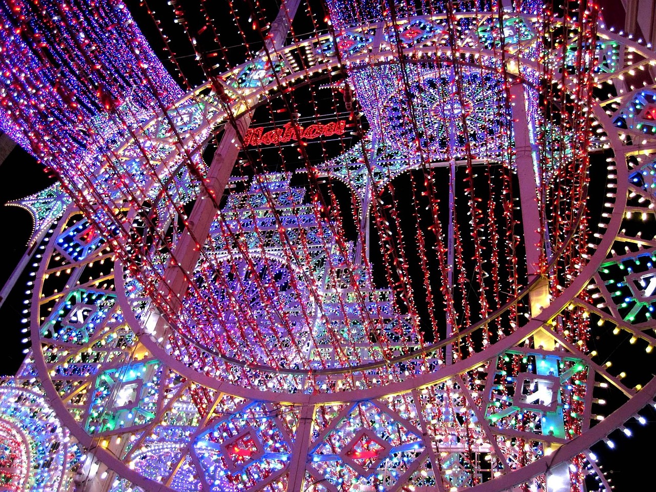 探尋紅珊瑚珍貴價值,五月紅珊瑚價格深度解析