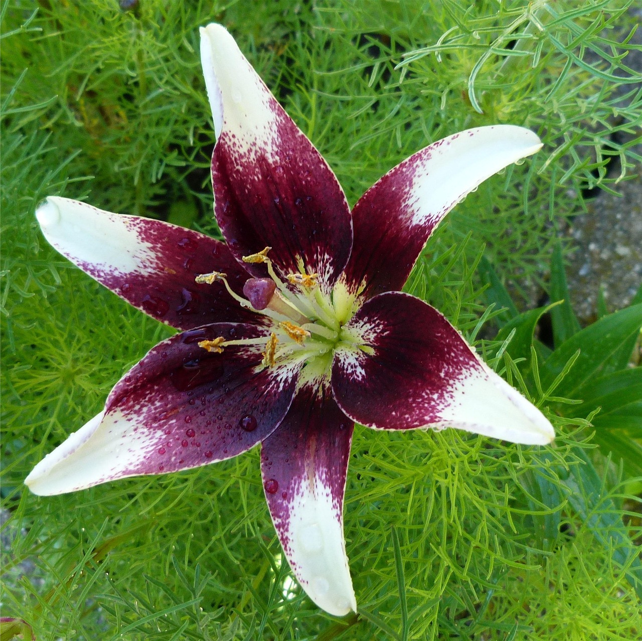 揭秘江西聯(lián)盛五月最新動態(tài),蓬勃發(fā)展,蓄勢待發(fā)