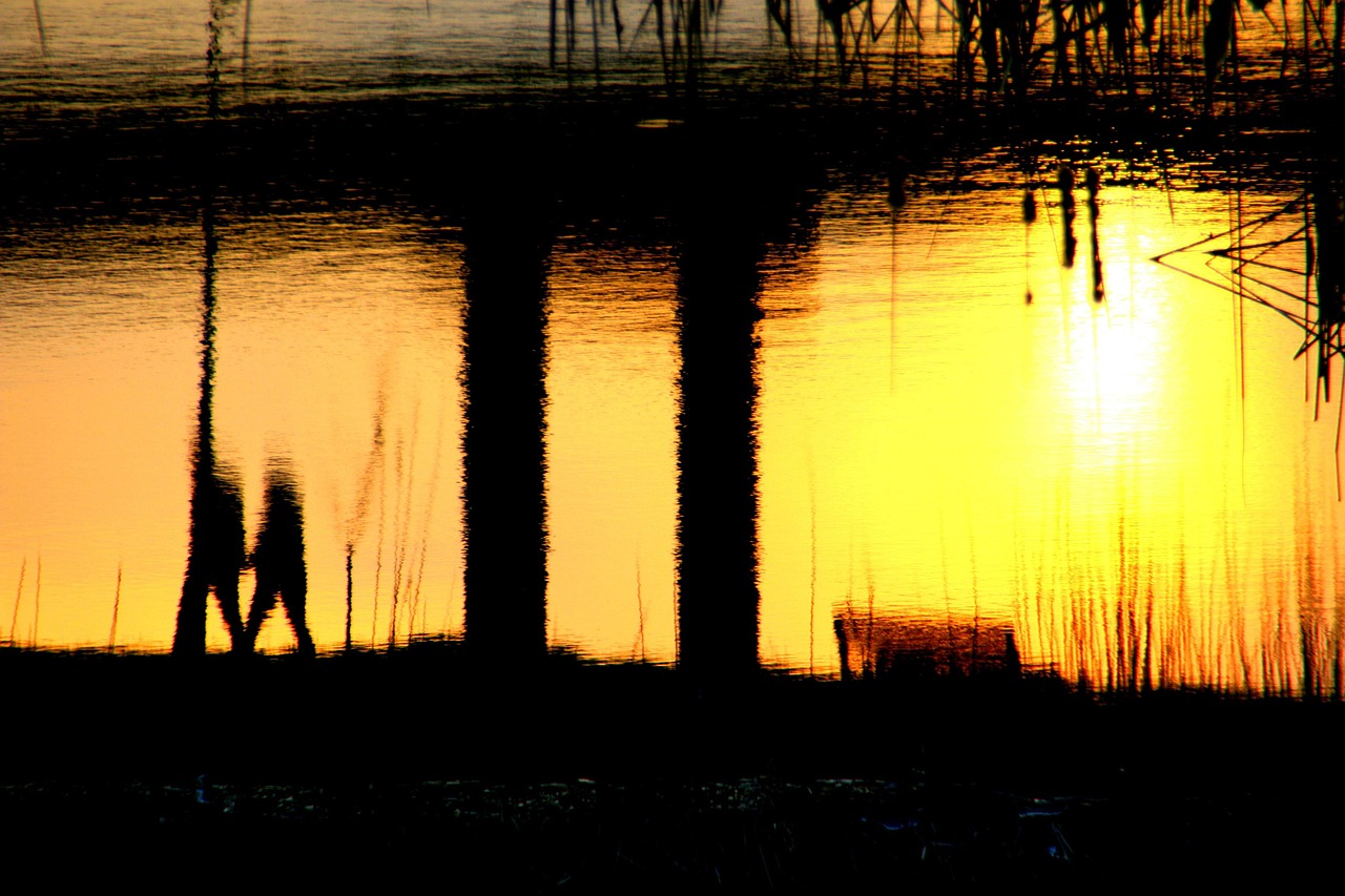 五月情侶接吻動(dòng)漫頭像,甜蜜瞬間的愛戀