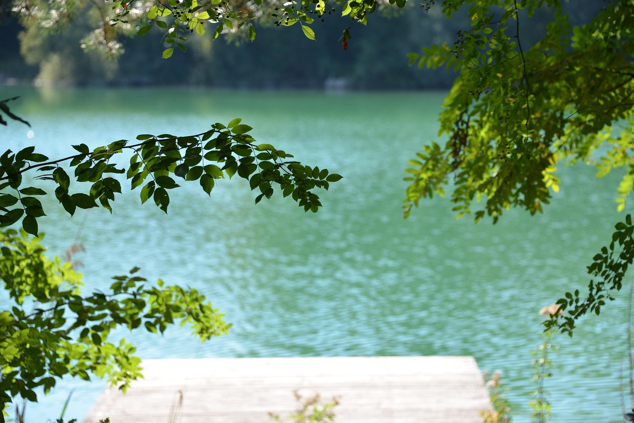 五月最新蘋果股價(jià)動(dòng)態(tài),市場(chǎng)走勢(shì)分析與展望