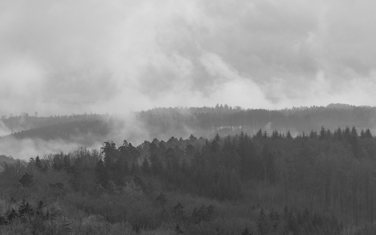 五月最新奇觀，探尋自然之美與神秘力量