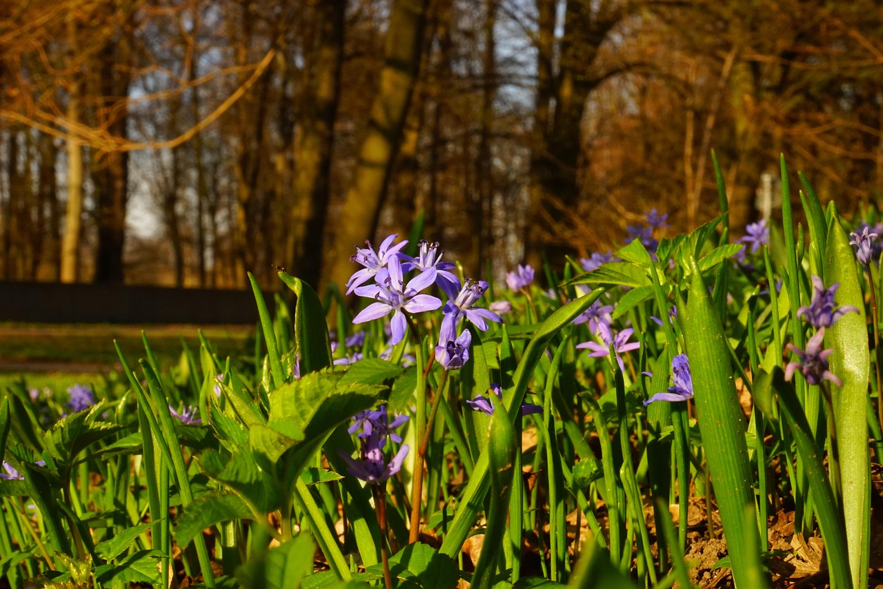 回顧五月之花,1996年電視劇大全集精彩瞬間