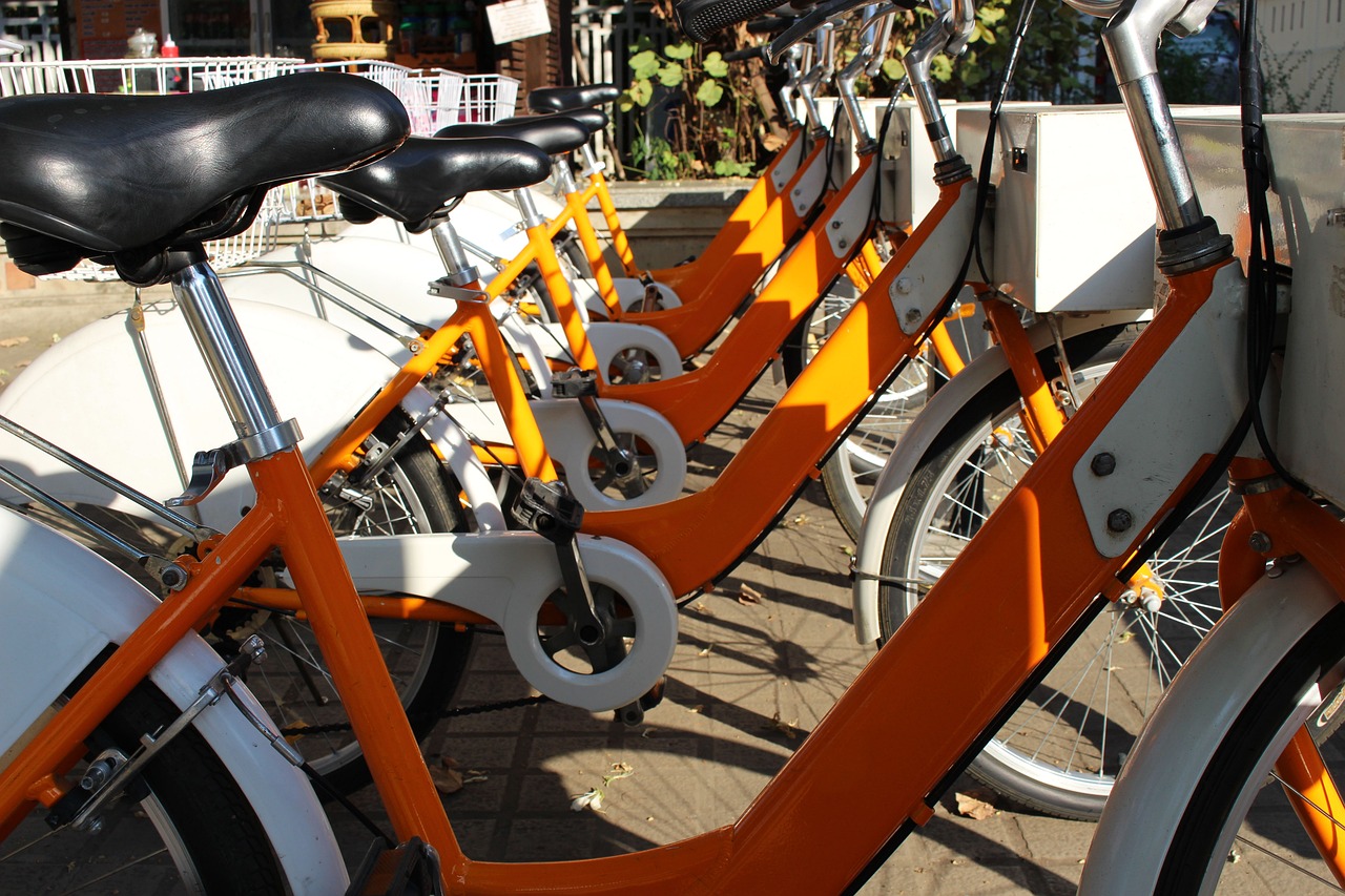 五月桂東招聘網(wǎng)人才盛宴,最新招聘動(dòng)態(tài)等你來挑戰(zhàn)