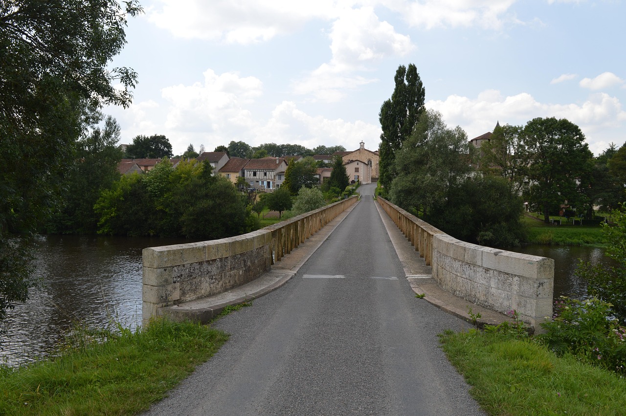 五月林高遠賽場風采,最新動態(tài)與未來展望