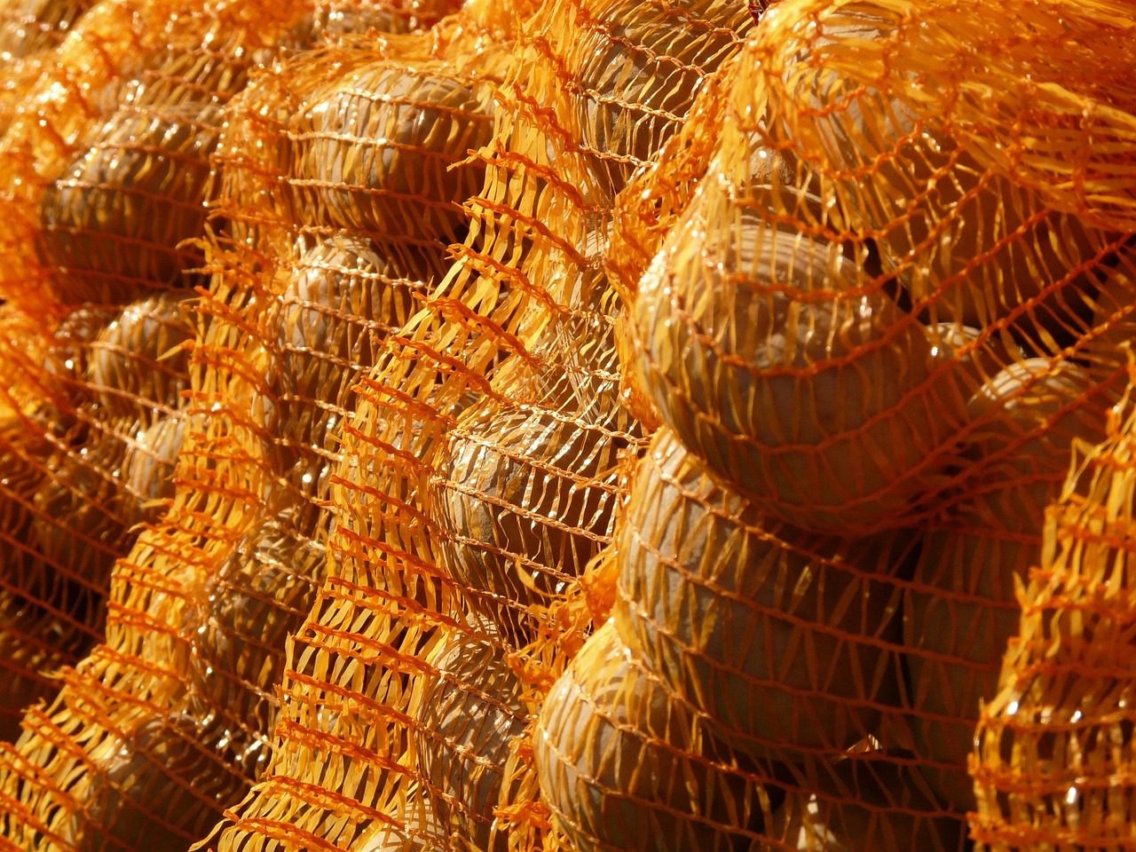 五月內(nèi)蒙古土豆市場(chǎng)價(jià)格動(dòng)態(tài)及最新走勢(shì)分析