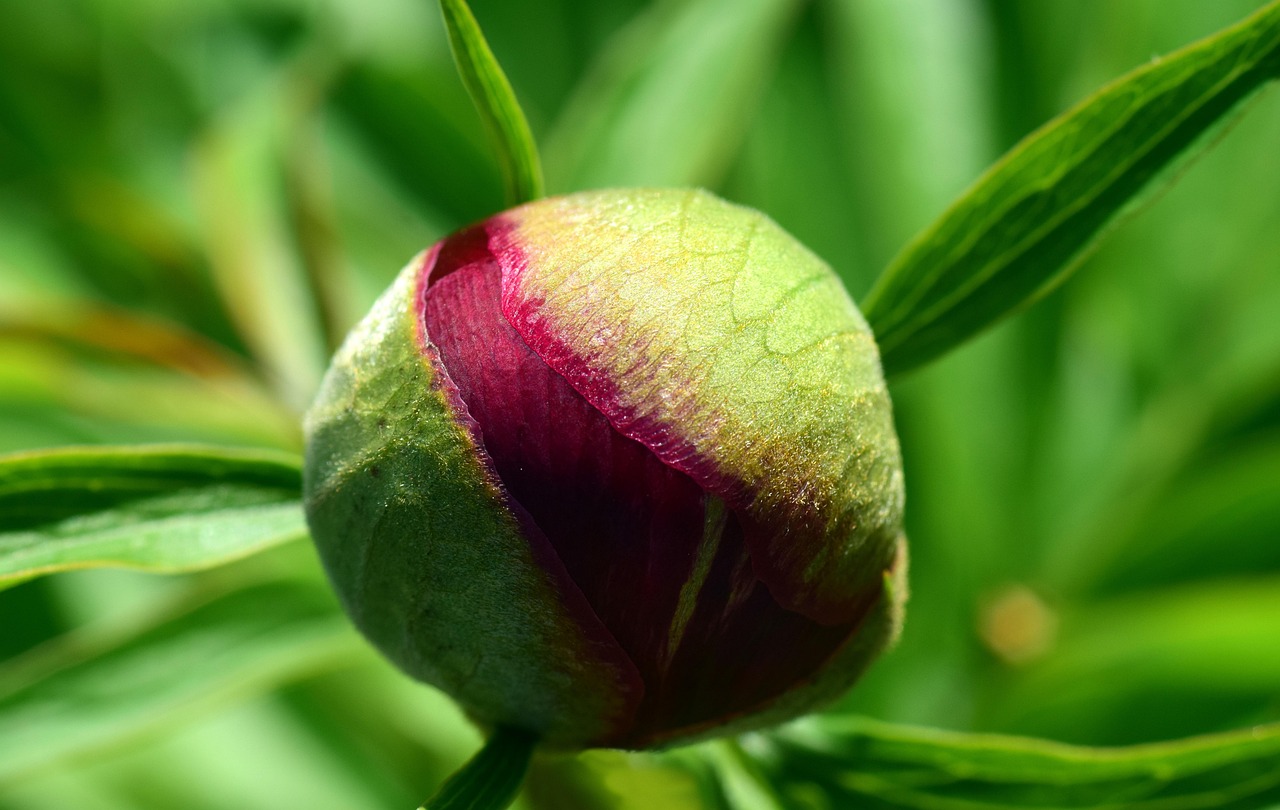 2025年5月22日 第8頁