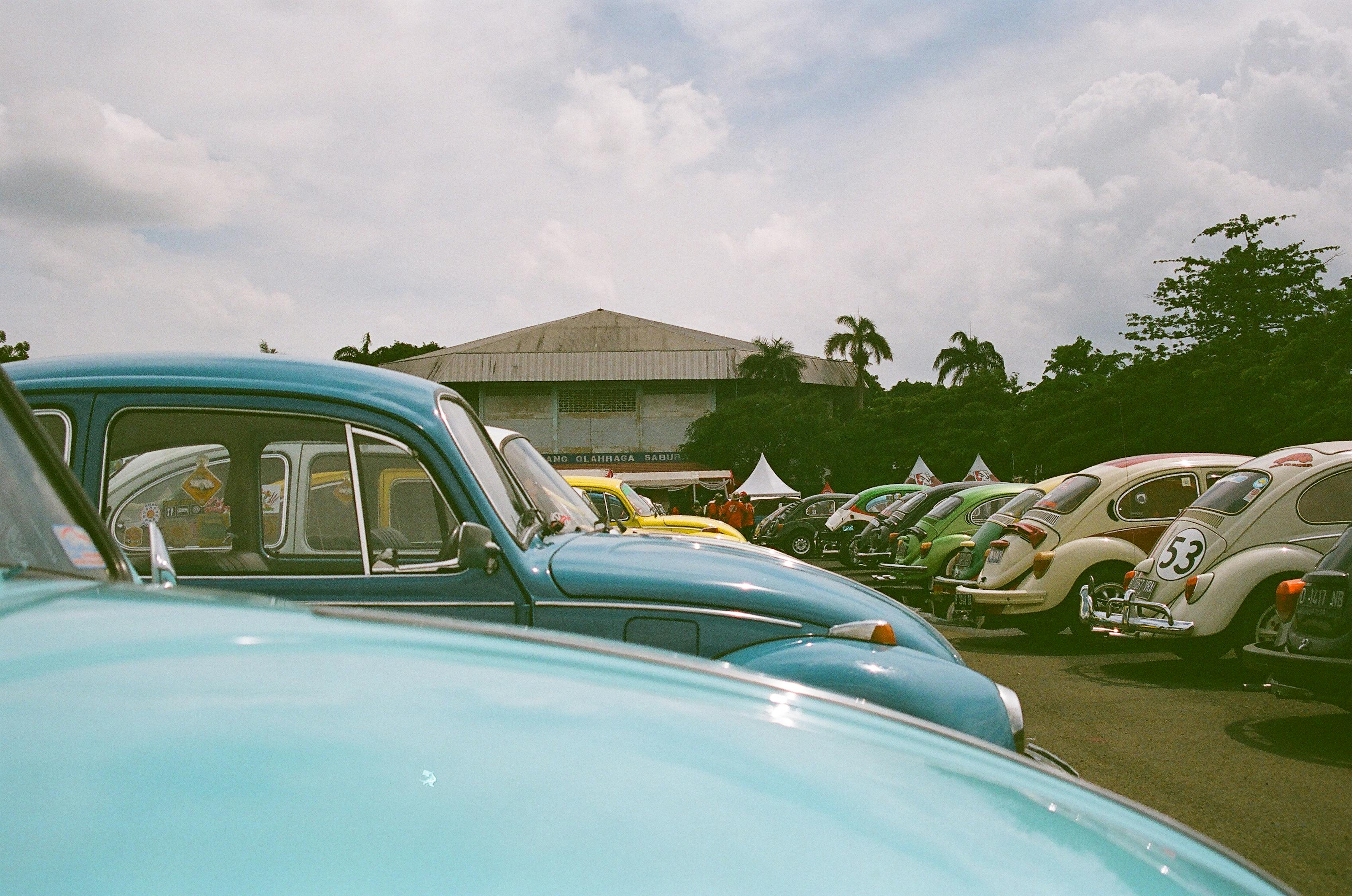 五月大眾甲殼蟲價(jià)格揭秘,走勢(shì)分析與購(gòu)買建議