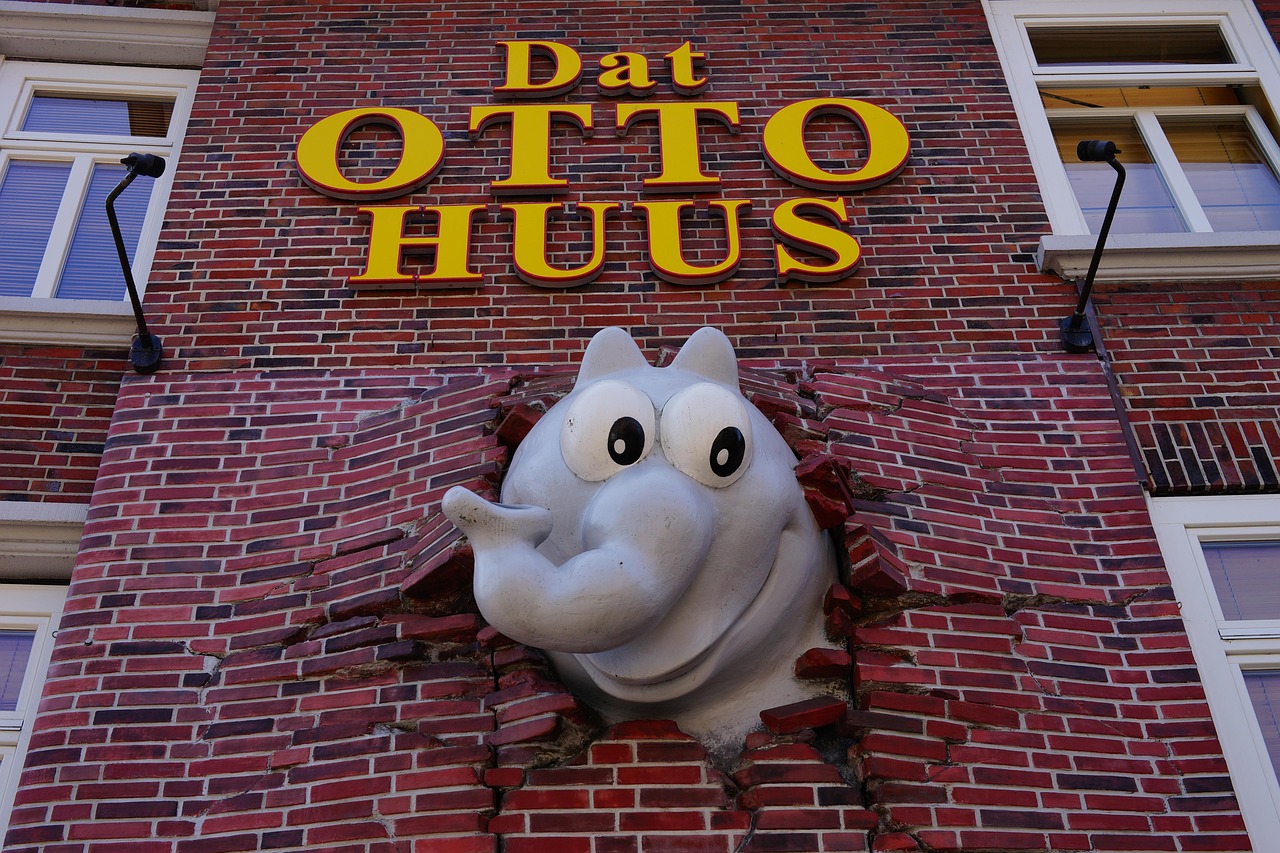 五月獅子王配音演員的魅力與傳奇之旅