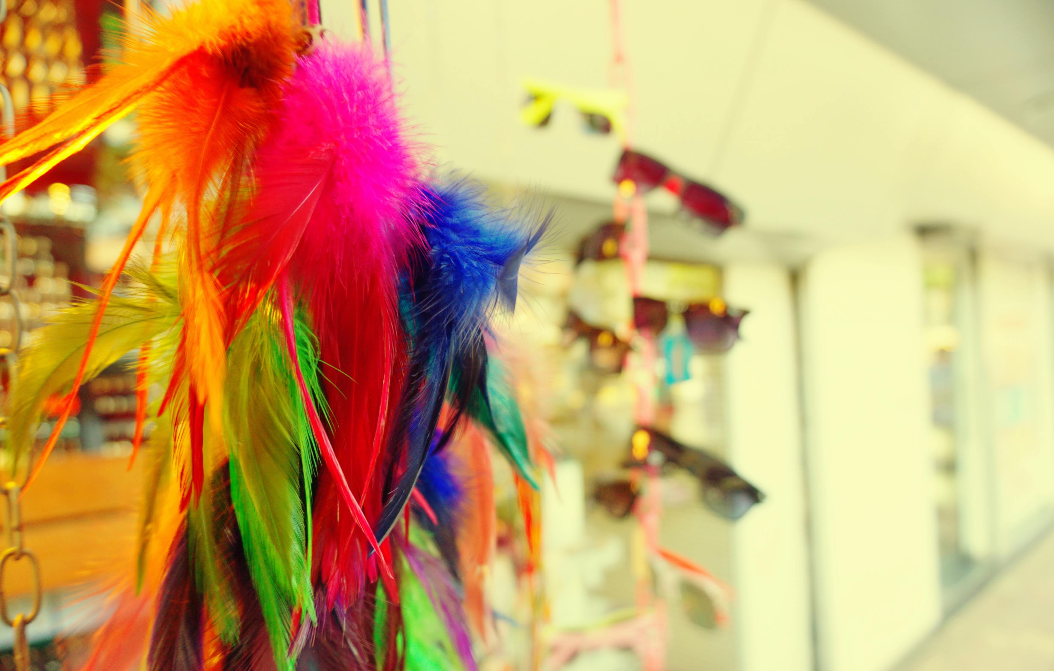 五月飛馬股票,市場新寵與挑戰的博弈