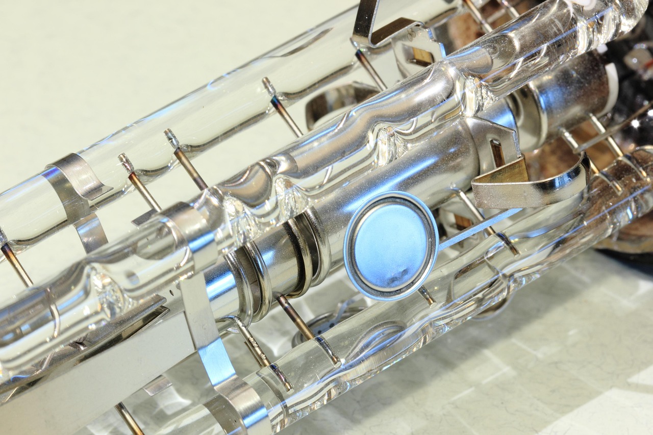 五月大豆行情解析,市場(chǎng)動(dòng)態(tài)與深度剖析