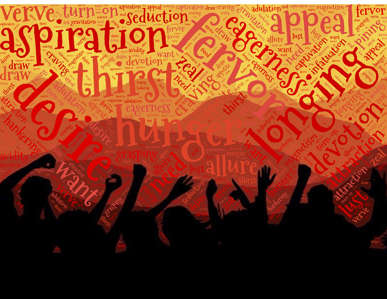 激情五月,舞出夢想,一場精彩的跳舞比賽回顧