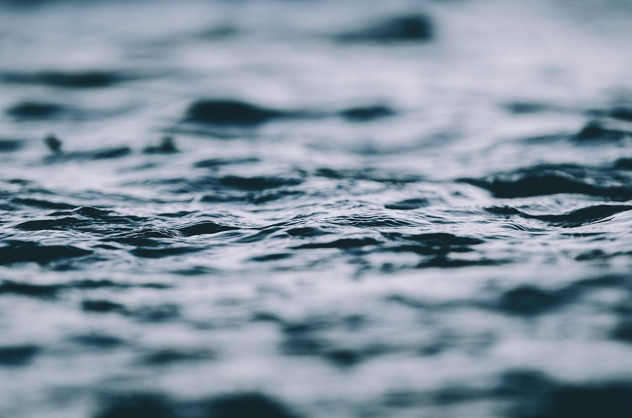 五月鄭業(yè)成最新動態(tài)揭秘,揭開明星生活的神秘面紗