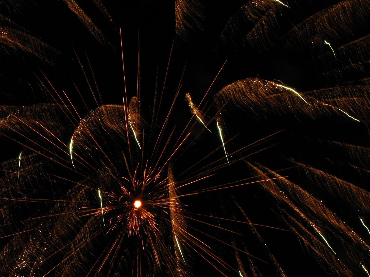 五月露天電影之夜,浪漫情懷的夜幕下的視聽盛宴