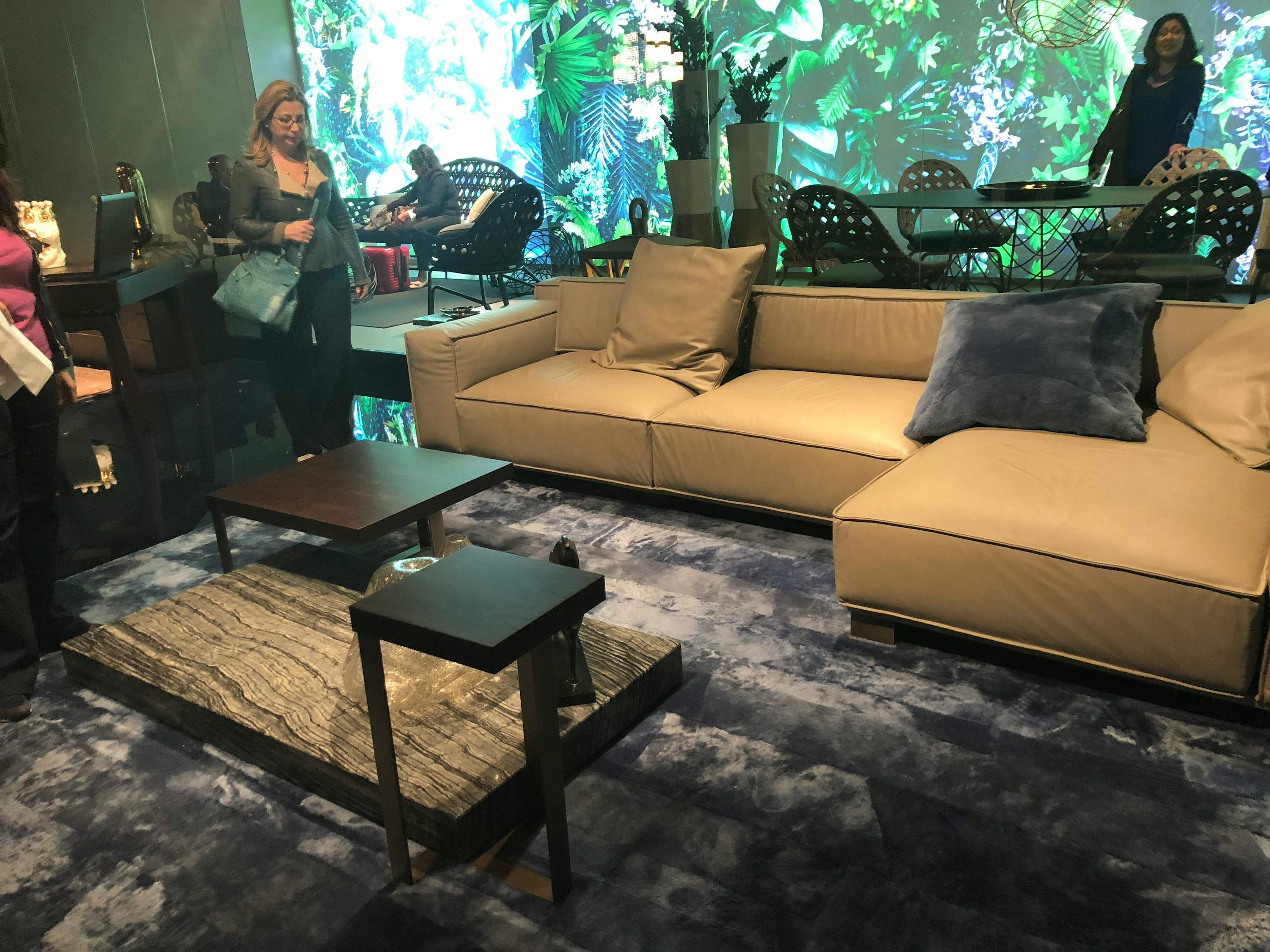 毛阿敏五月最新動態(tài)，音樂之旅的新篇章開啟