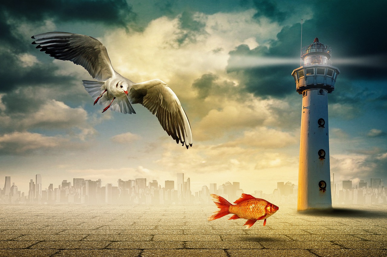 五月中國新型戰斗機閃耀天際,五月之光與中國空中力量崛起