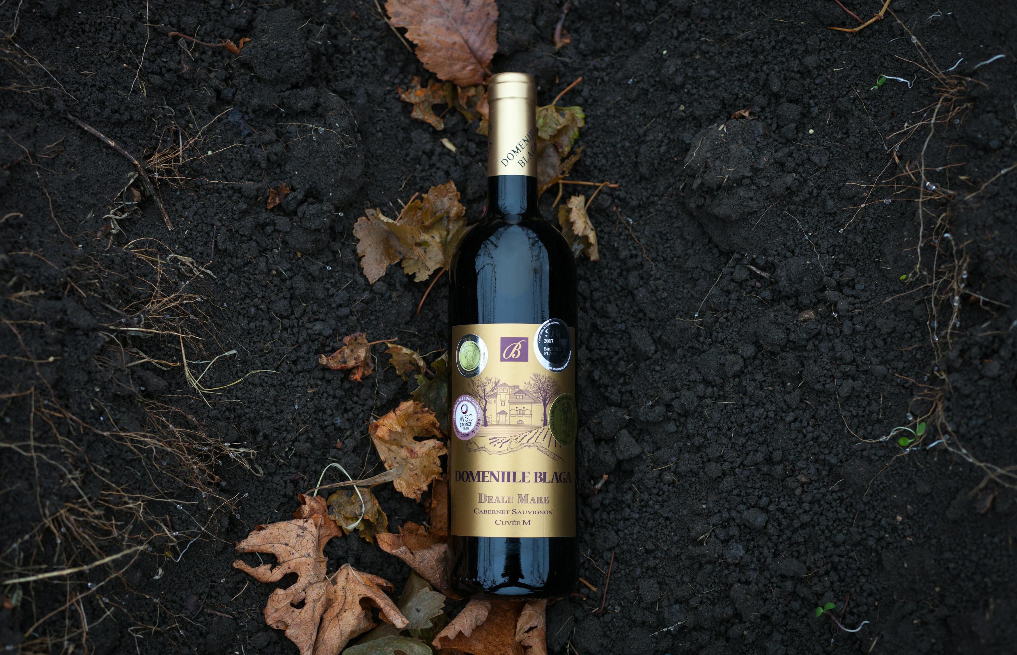 五月華東赤霞珠干紅葡萄酒價格揭秘