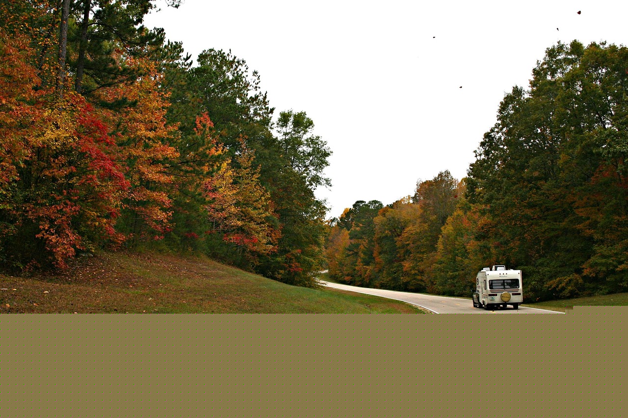 五月傷感動漫頭像探索,悲傷之美的獨特韻味