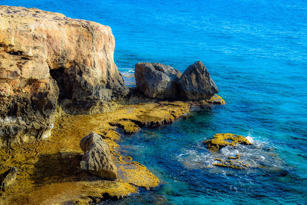 揭秘五月沃華醫藥最新動態,最新消息一覽