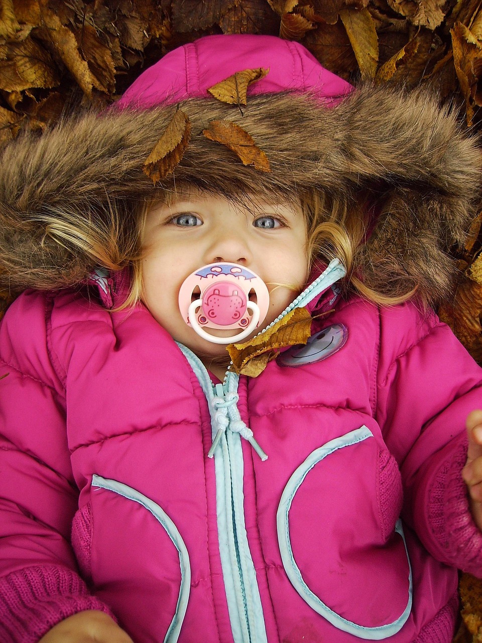 五月瘋丫頭第二季演員表全解析