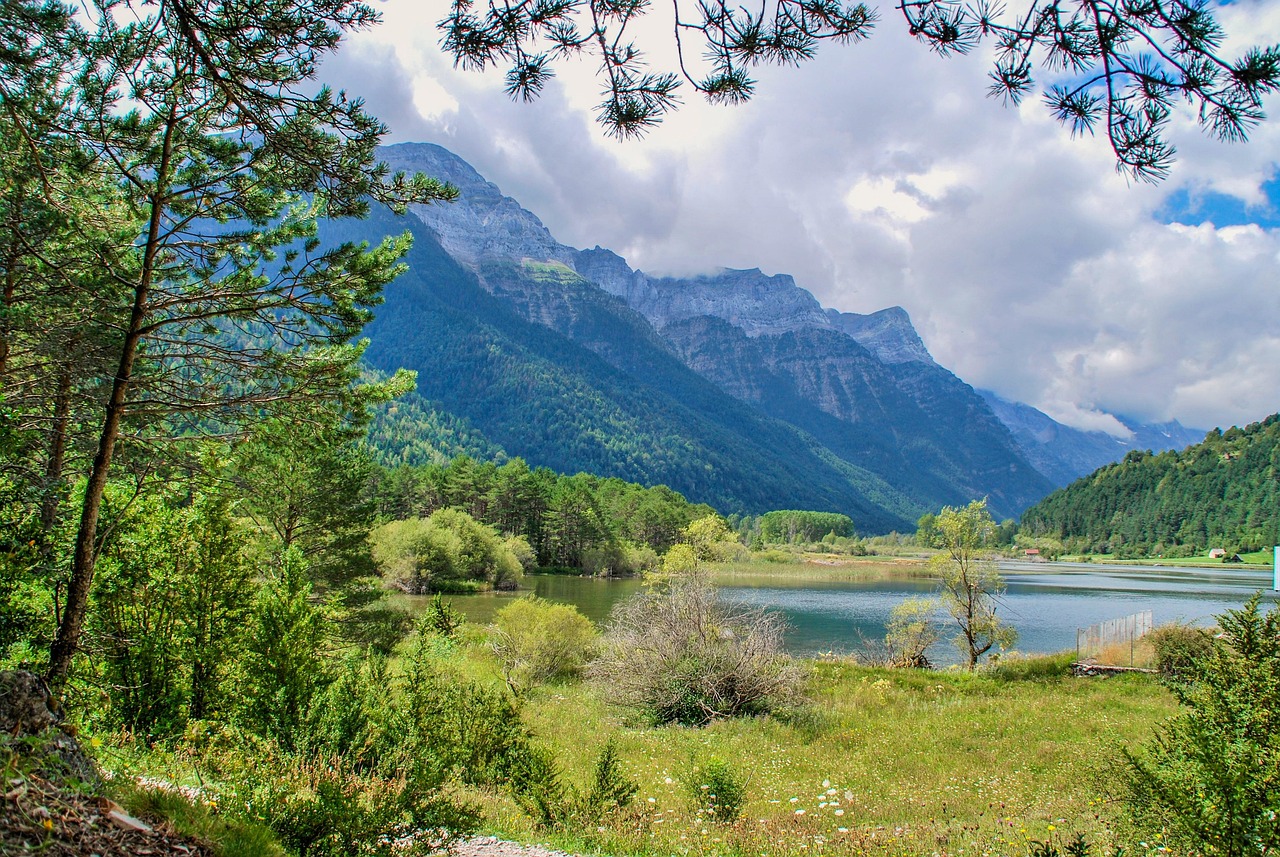 范冰冰五月最新資訊聚焦,五月動態一網打盡