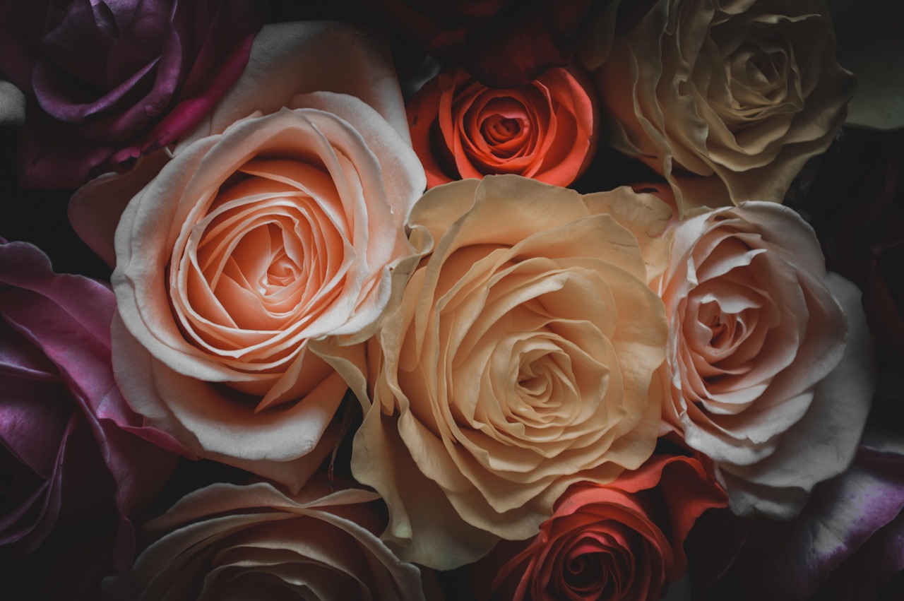 五月小明深入探索最新加密資訊的世界動態