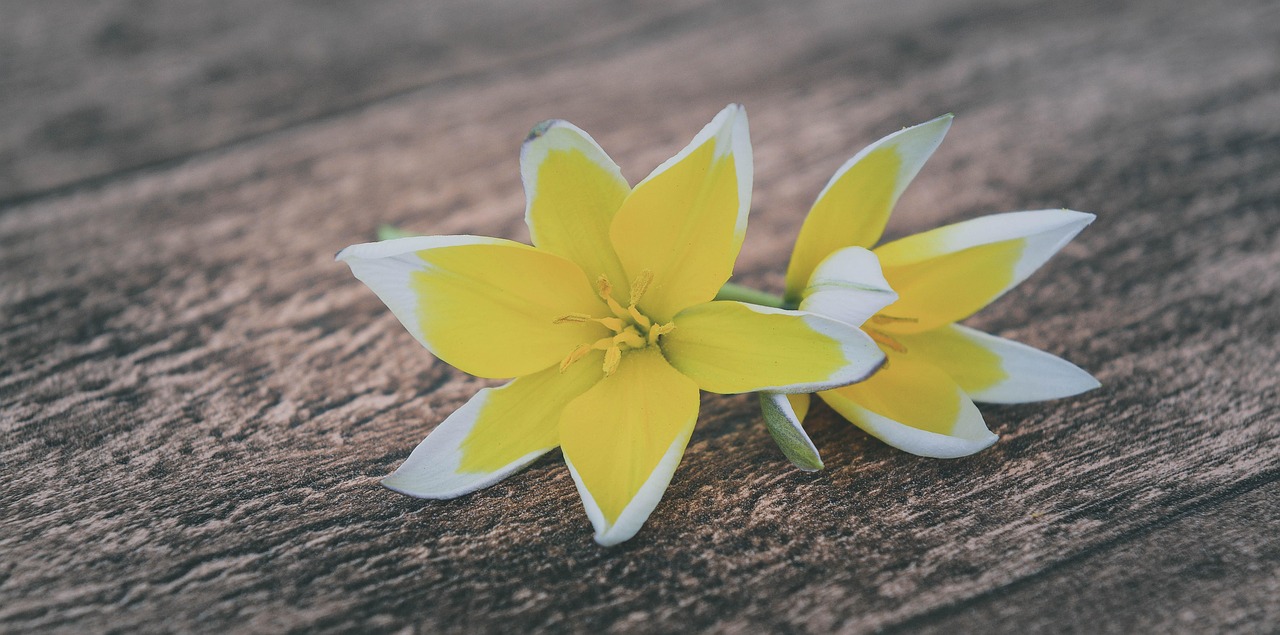 五月最新解禁資訊概覽,最新解禁動態(tài)一網打盡