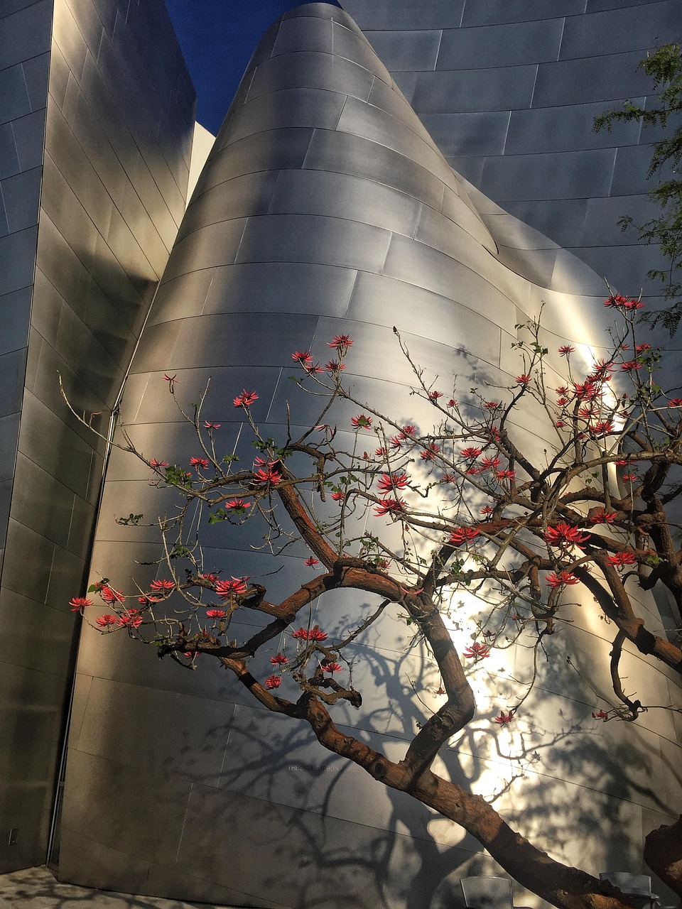 五月懷集房產項目概覽,最新動態與未來展望