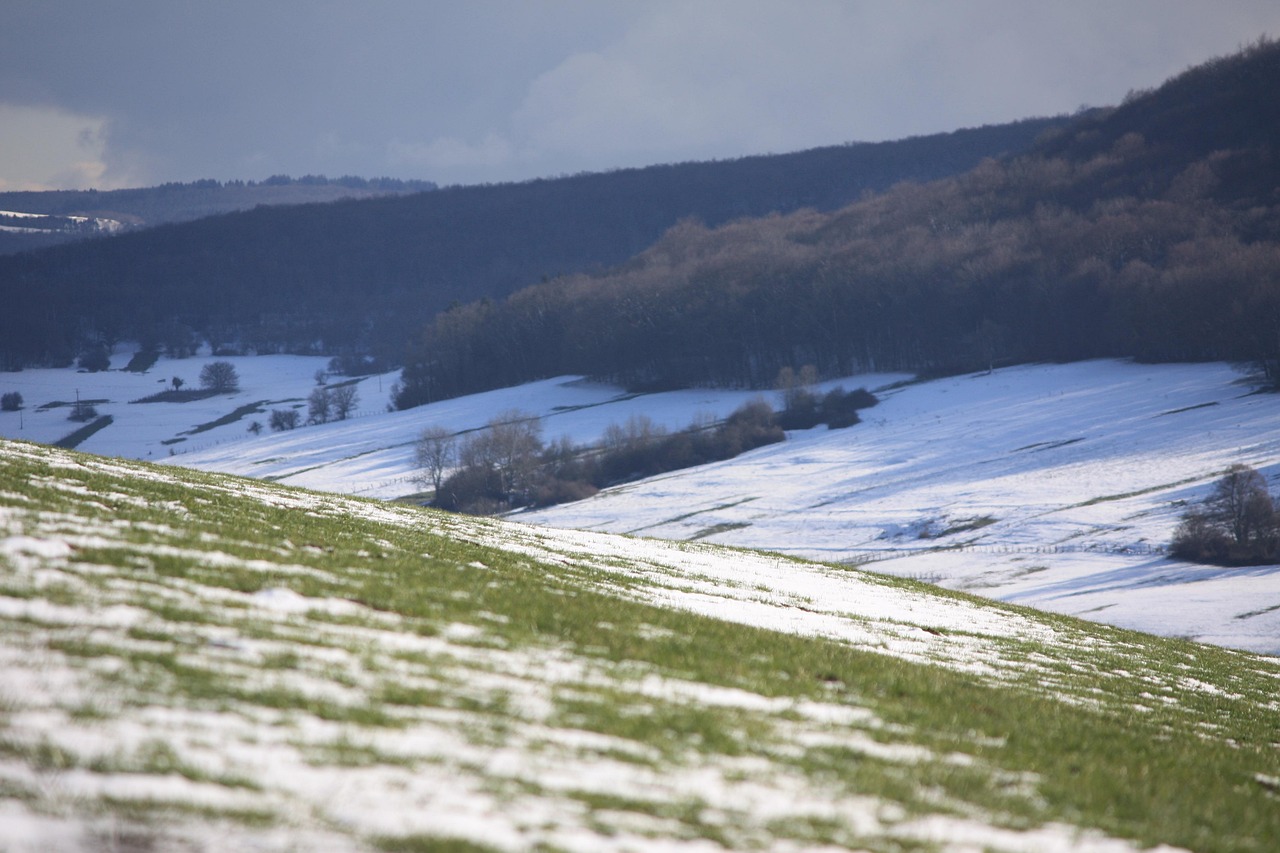 法國五月最新通告，新政策、動態(tài)展望與未來預(yù)測